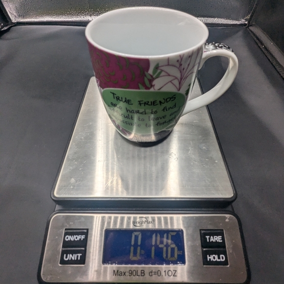 Pier 1 true Friends Are Hard To Find Floral Porcelain Coffee Mug - Picture 10 of 10